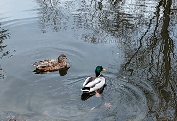 До +19. Другого квітня в Україні переважатиме волога повітряна маса, - синоптикиня 